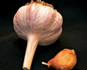 Organic German Red Garlic Seed