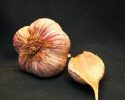 Organic Metechi Garlic Seed